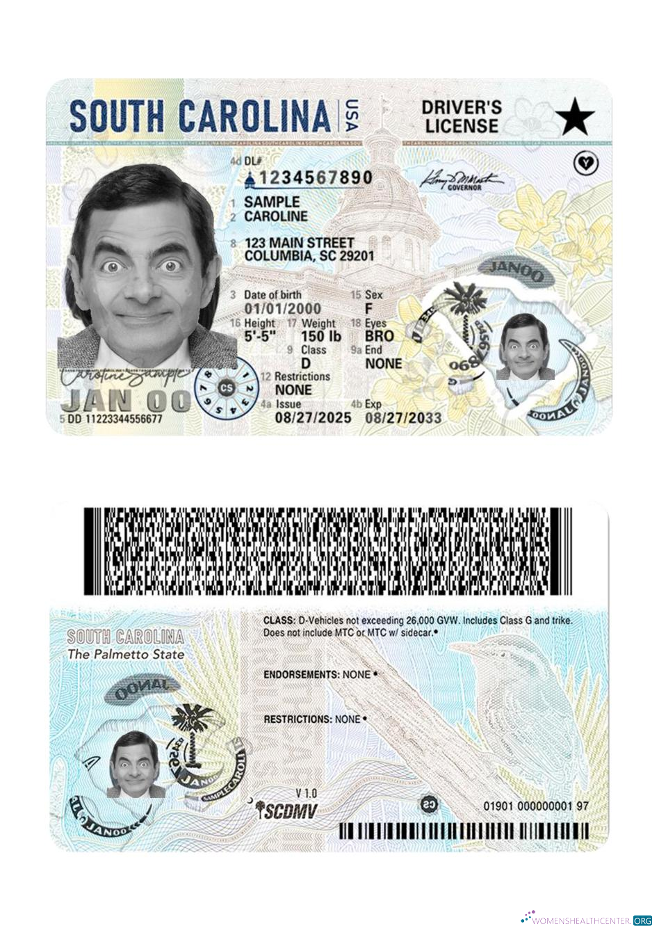 download USA South Carolina driving license 2025 present